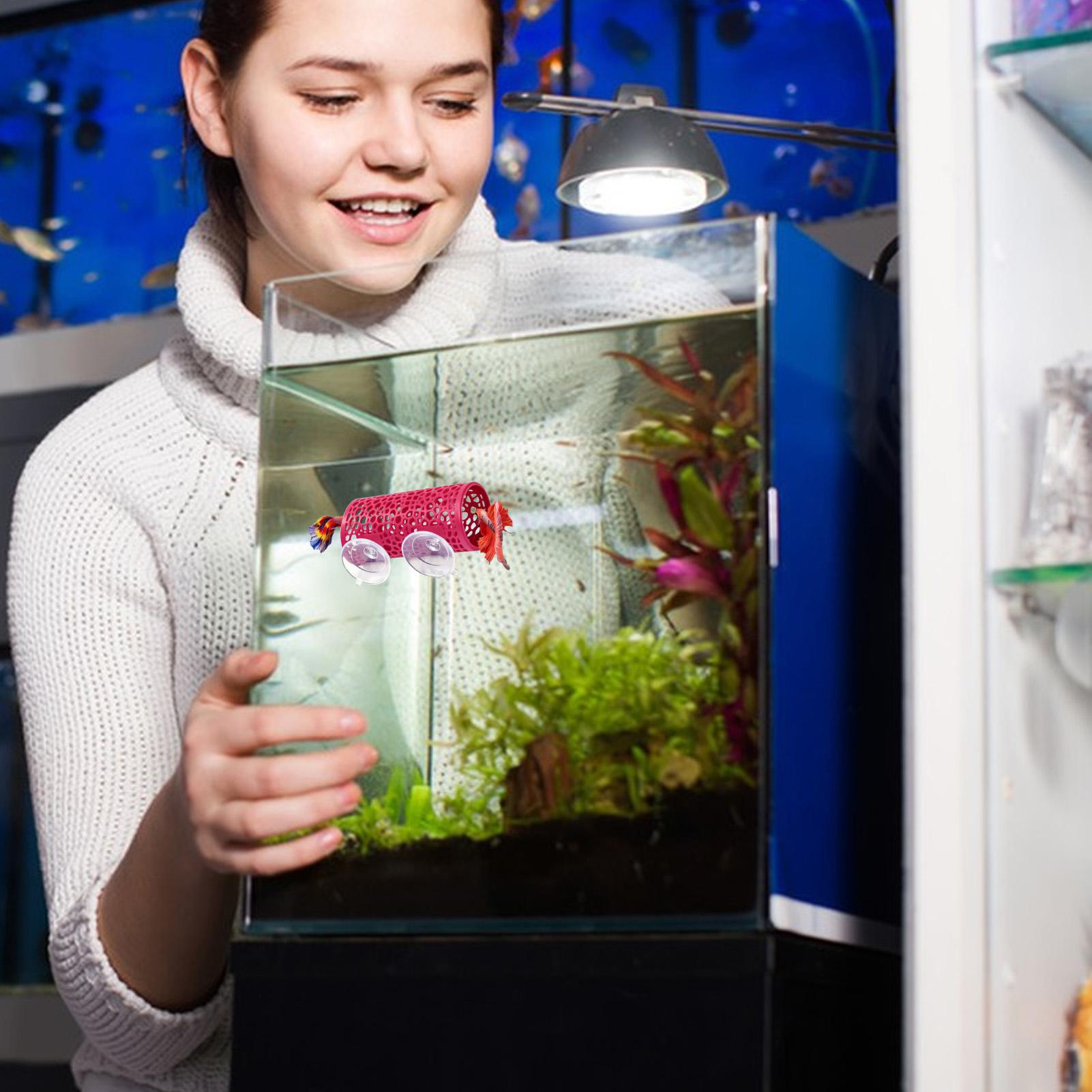 Aquarium Fish Betta - Ozdoba do akwarium Betta, tunel dla