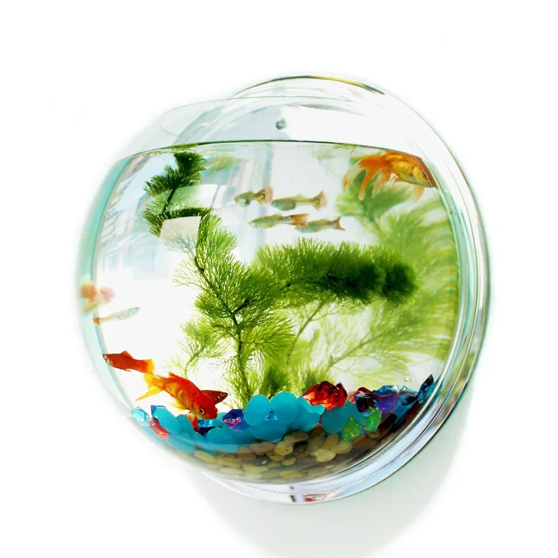 Aquarium Fish Betta - Pinsjar Akrylowa miska na ryby Wiszący