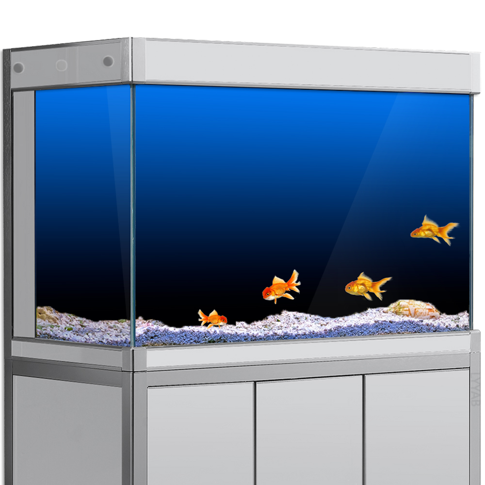 Aquarium Fish Green - Naklejka w tle akwarium Czarny Zielony