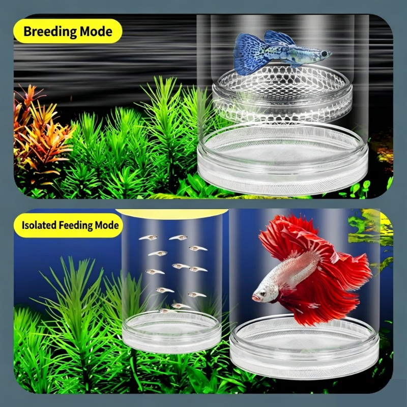 Aquarium Fish Betta - Przezroczysta pływająca skrzynka do hodowli ryb,