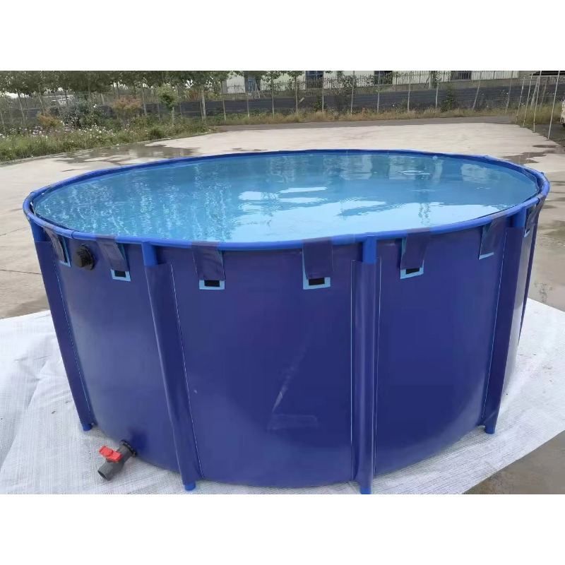 Aquarium Fish Big Size - Hurtowa Produkcja na Zamówienie Dużych, Popularnych,