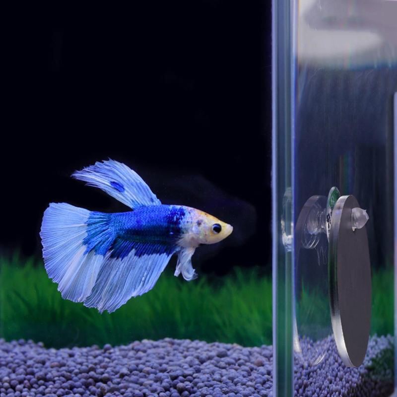 Aquarium Fish Cichlid - Akwarium Betta Lustrzany Akwarium Okrągłe Lusterko