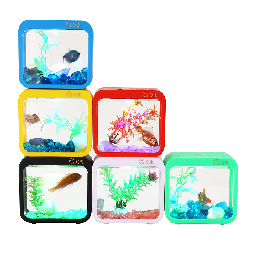 Kolorowe kreatywne pudełko Bet – Aquarium Fish Betta recenzja i cena
