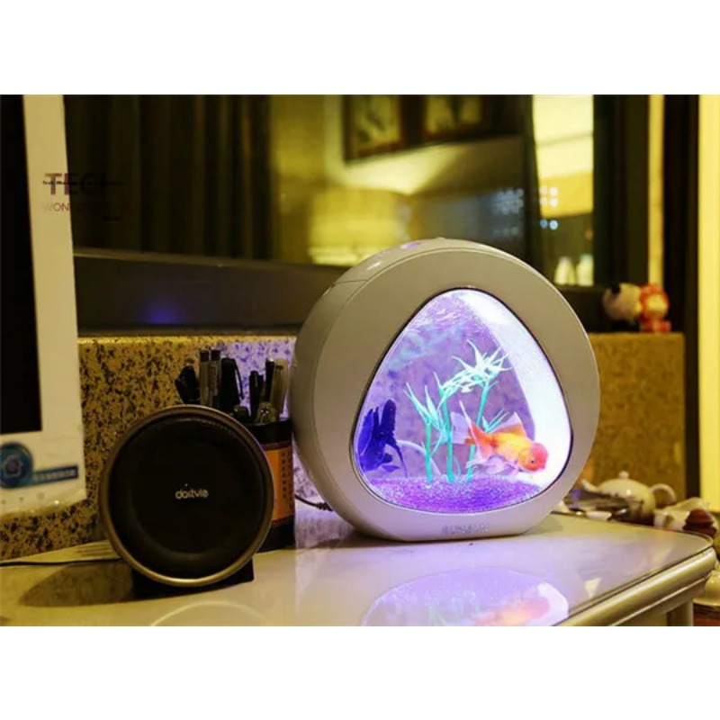 SUNSUN akrylowe akwarium ekolo – Aquarium Fish Big Size recenzja i cena