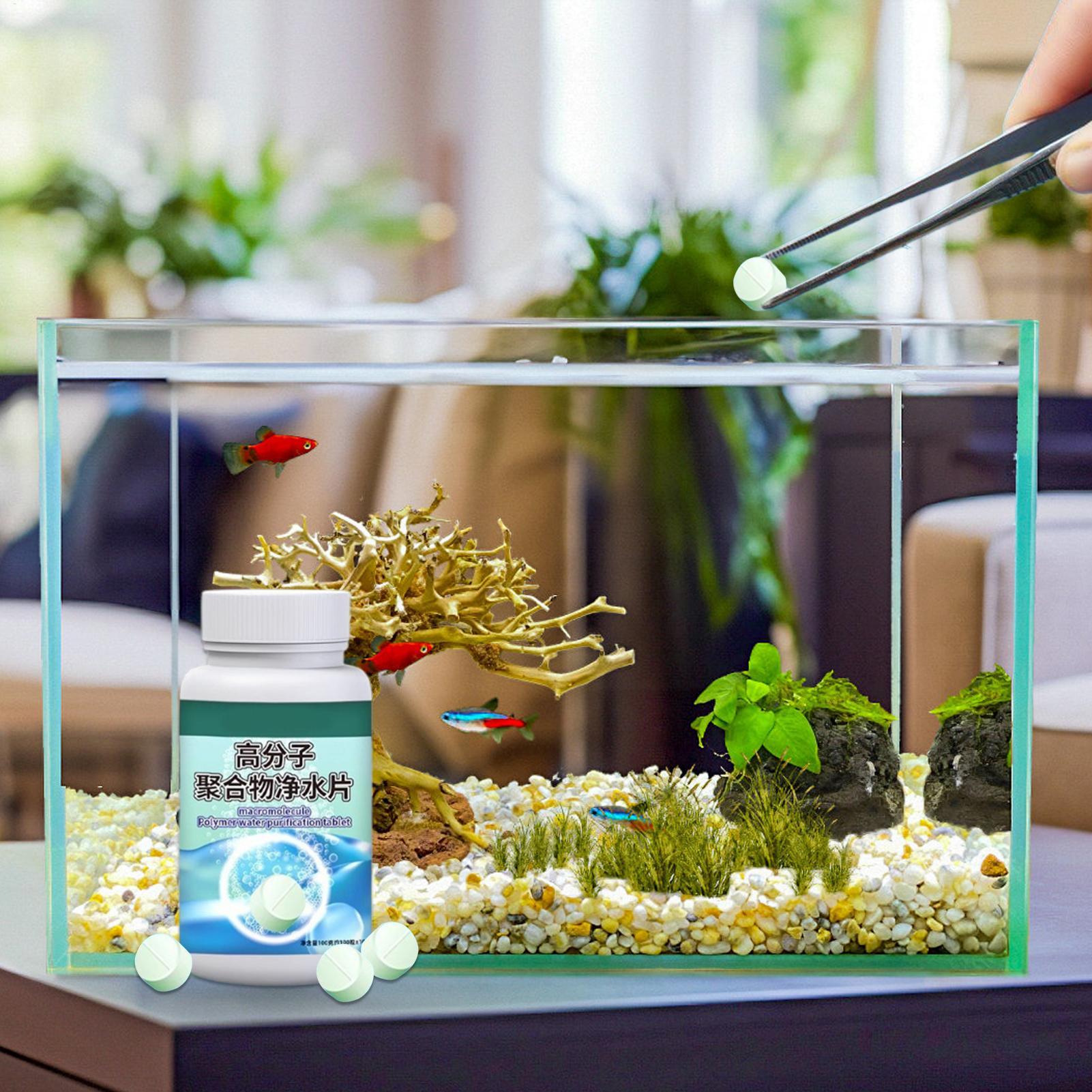 Tabletki do usuwania alg z ryb – Aquarium Fish Betta recenzja i cena