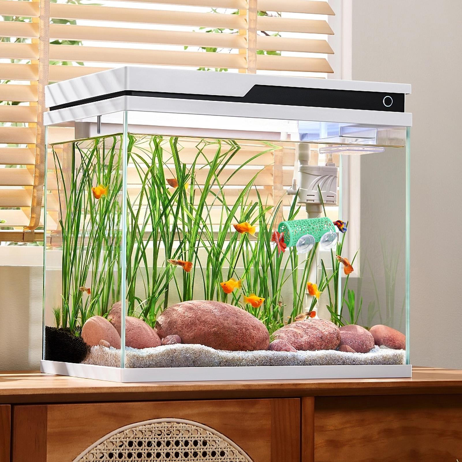Ozdoba do akwarium Betta, tune – Aquarium Fish Betta recenzja i cena