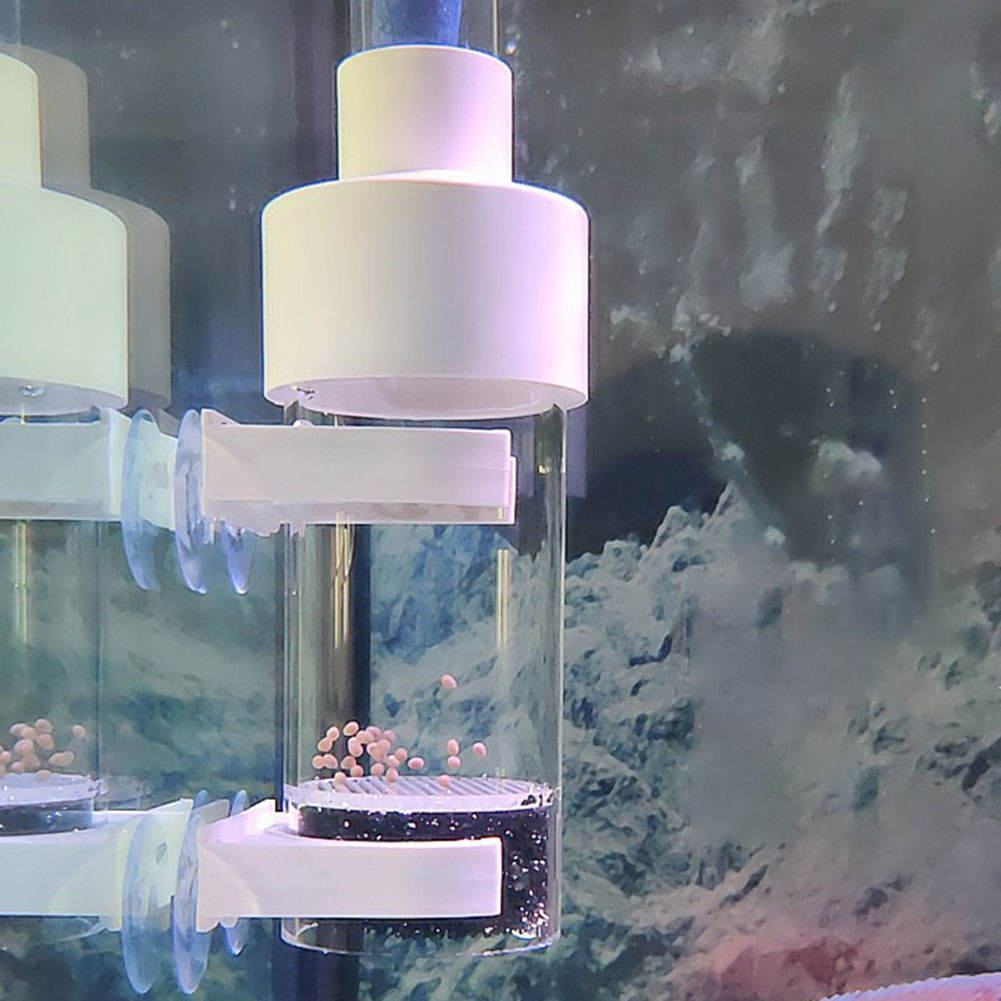 40mm Tumbler Inkubator Wylęgar – Aquarium Fish Cichlid recenzja i cena