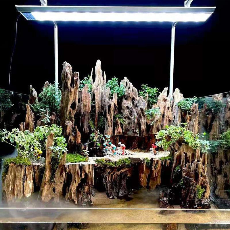 Dekoracja akwariowa z drewna n – Aquarium Fish Cichlid recenzja i cena