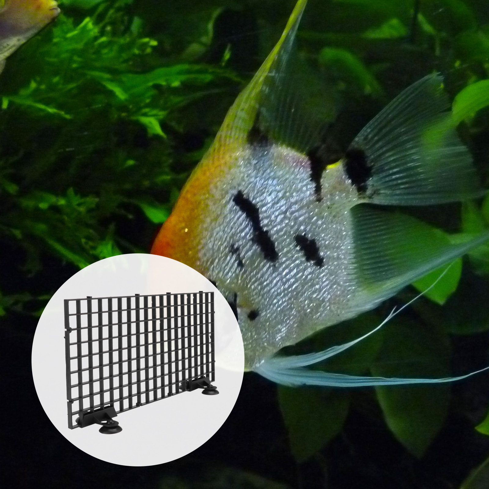 Siatka hodowca ryb Duży rozmia – Aquarium Fish Big Size recenzja i cena