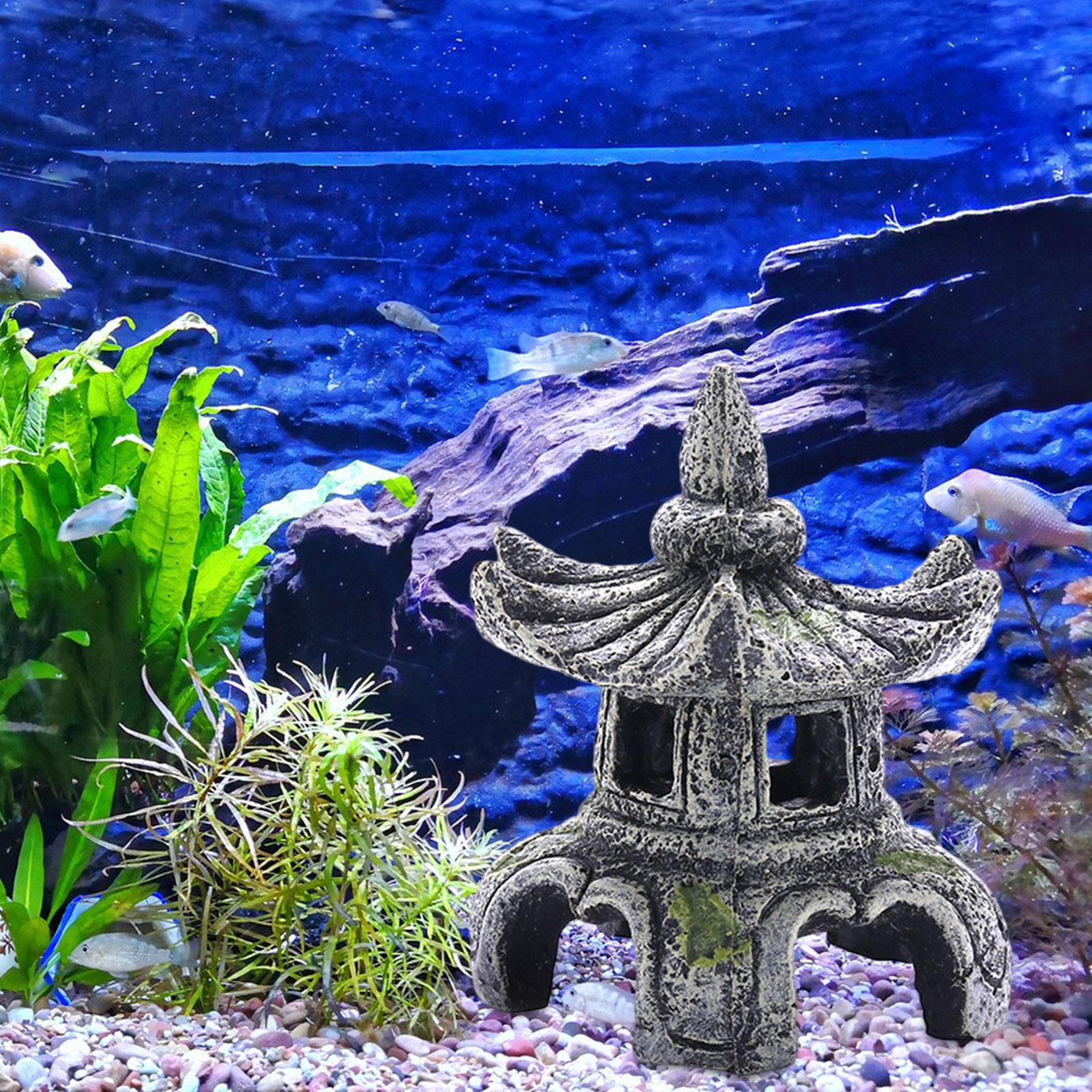 Ozdoba akwariowa Akcesoria akw – Aquarium Fish Cichlid recenzja i cena