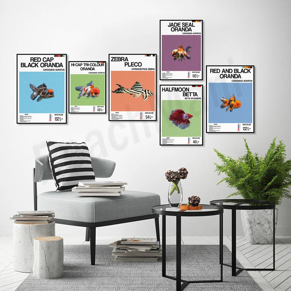 Informacje o rybach, ryby ozdo – Aquarium Fish Zebra recenzja i cena
