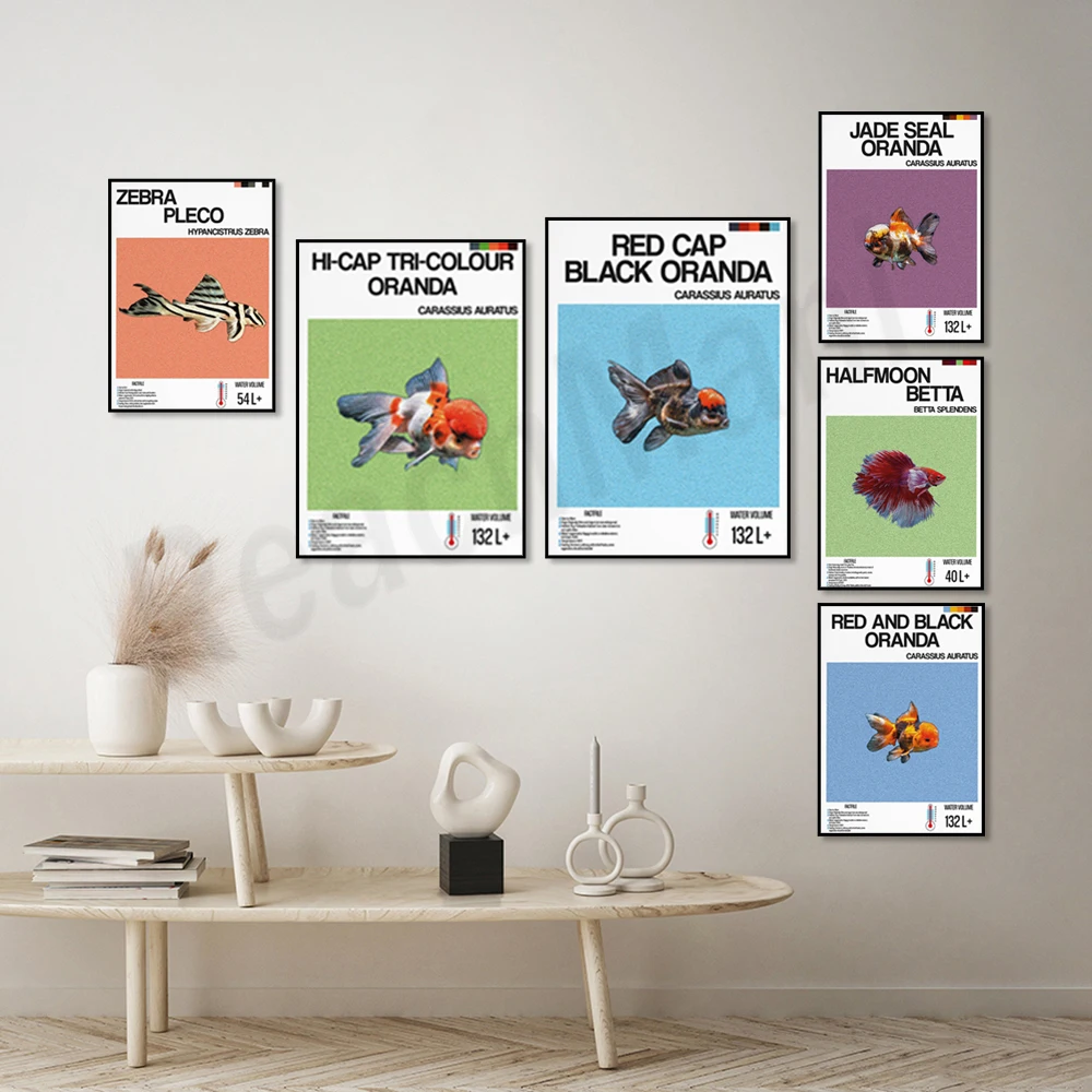 Informacje o rybach, ryby ozdo – Aquarium Fish Zebra recenzja i cena