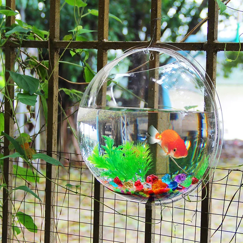 Pinsjar Akrylowa miska na ryby – Aquarium Fish Betta recenzja i cena