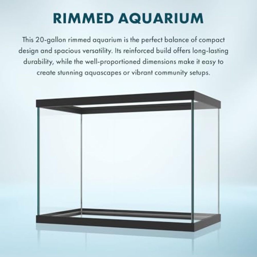 Szklane akwarium o pojemności  – Aquarium Fish Betta recenzja i cena