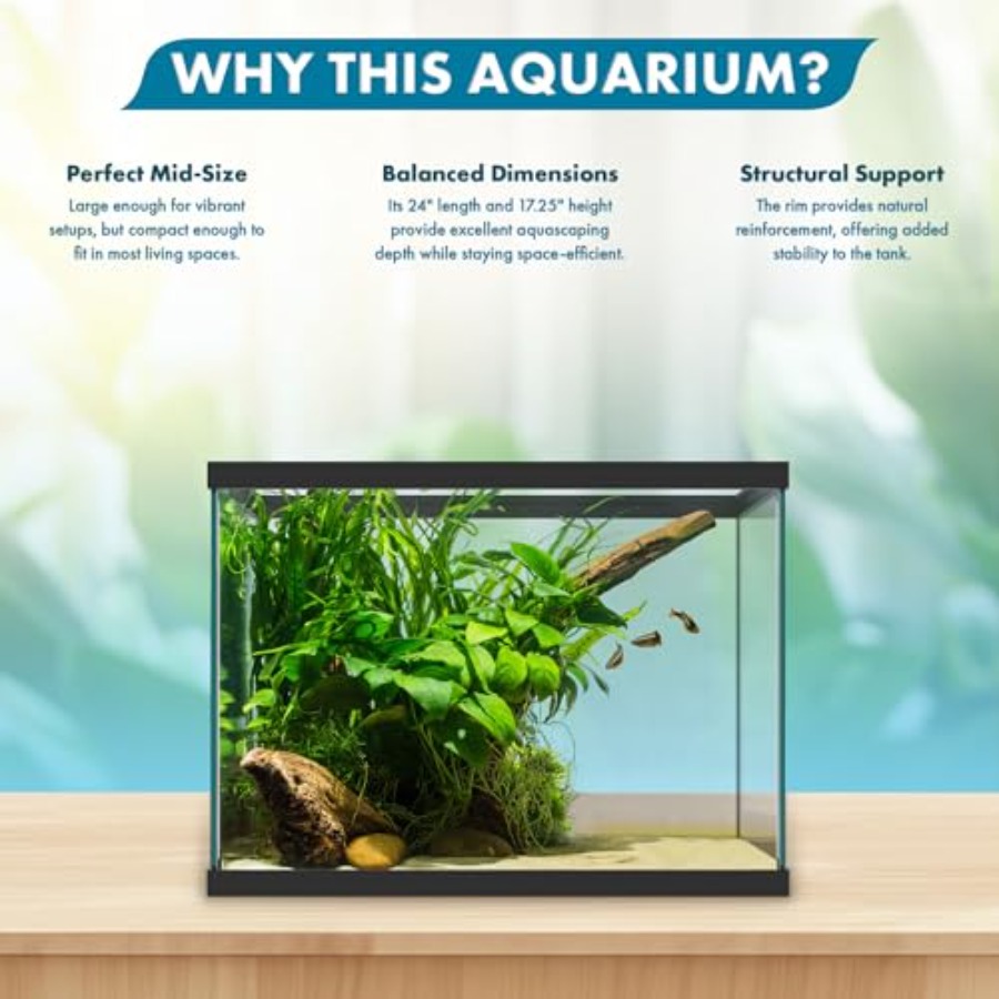 Szklane akwarium o pojemności  – Aquarium Fish Betta recenzja i cena