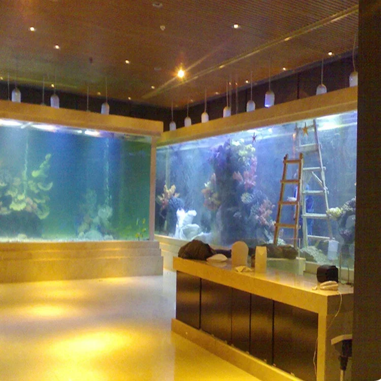 l Akrylowy Duży Akwarium Prost – Aquarium Fish Big Size recenzja i cena