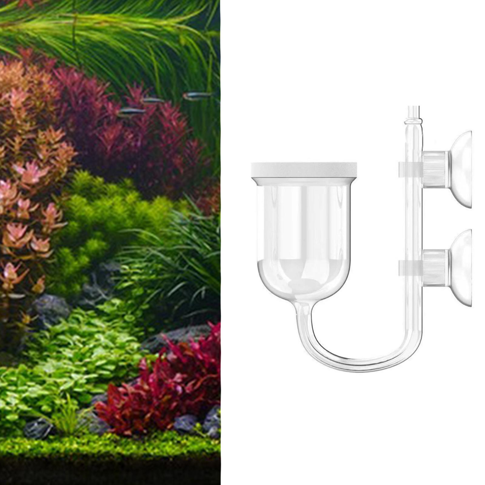 Dyfuzor CO2 do akwarium z prze – Co2 Diffuser Planted recenzja i cena
