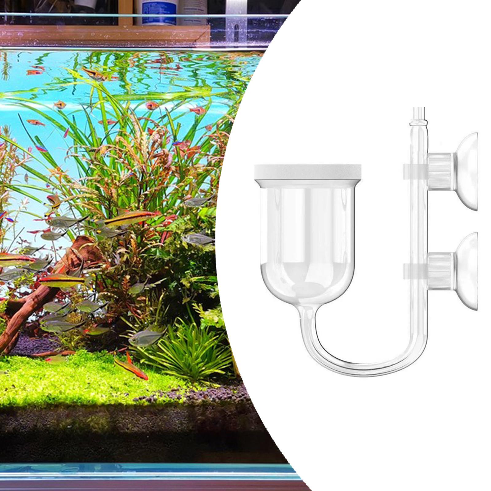 Dyfuzor CO2 do akwarium z prze – Co2 Diffuser Planted recenzja i cena