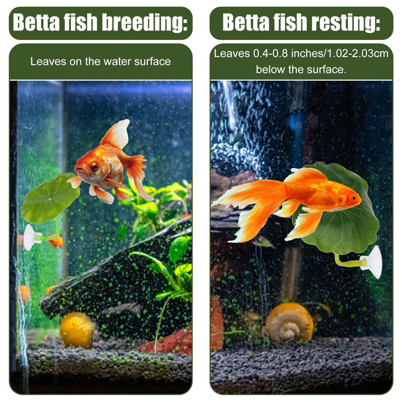Hamak dla ryb Betta, 5 sztuk,  – Aquarium Fish Betta recenzja i cena
