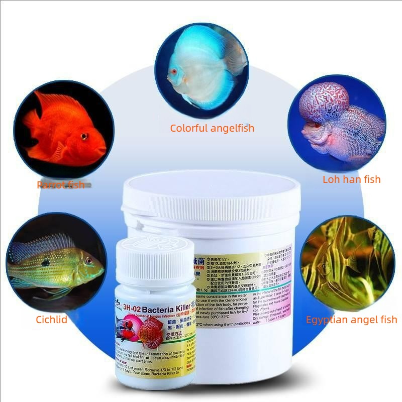 Leczenie ryb akwariowych na pa – Aquarium Fish Cichlid recenzja i cena