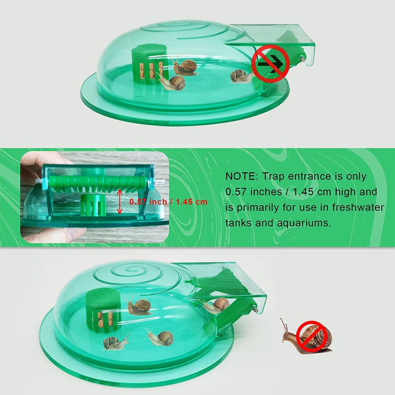 Pułapka na ślimaki do akwarium – Aquarium Fish Green recenzja i cena