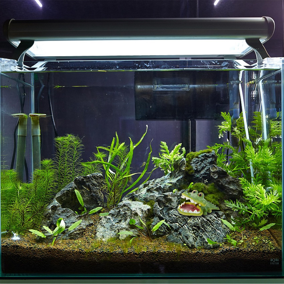 Buihczący aligator jako ozdoba – Aquarium Fish Alligator recenzja i cena
