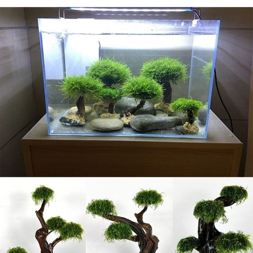 Akwarium ekologizacja rama dre – Aquarium Fish Green recenzja i cena