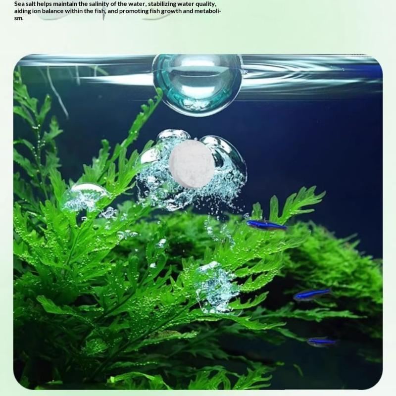 Tabletki do czyszczenia alg w  – Aquarium Fish Green recenzja i cena