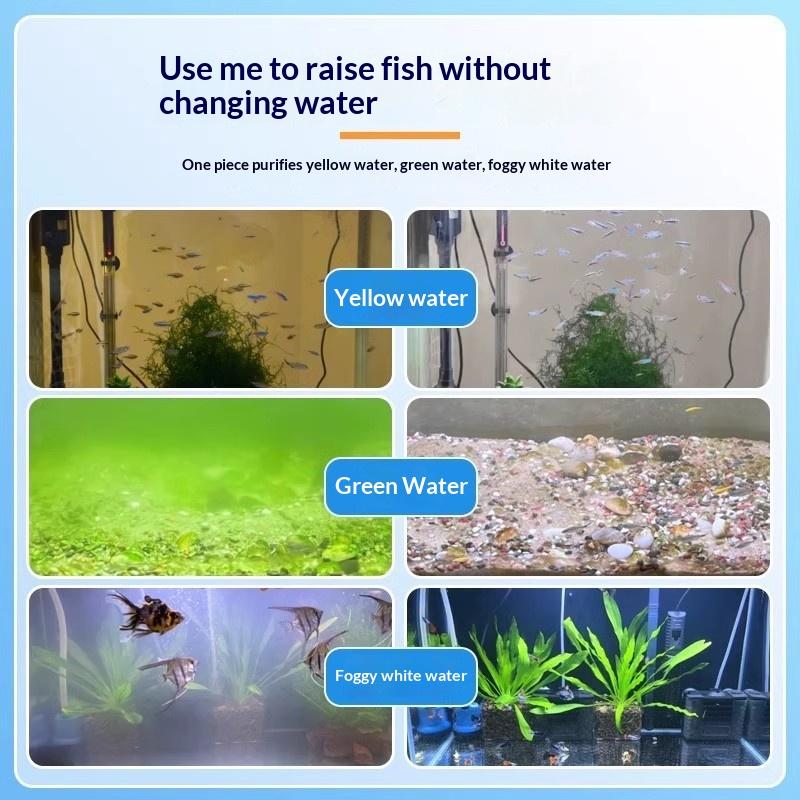 Tabletki do czyszczenia alg w  – Aquarium Fish Green recenzja i cena
