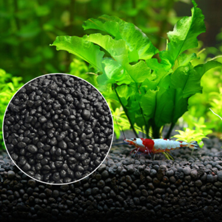 Roślina akwariowa nasiona gleb – Aquarium Fish To Buy recenzja i cena
