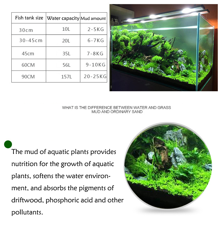 Roślina akwariowa nasiona gleb – Aquarium Fish To Buy recenzja i cena