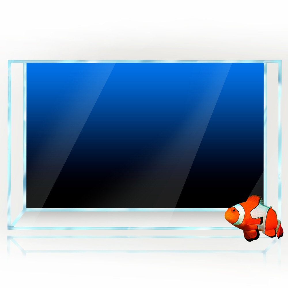 Naklejka w tle akwarium Czarny – Aquarium Fish Green recenzja i cena
