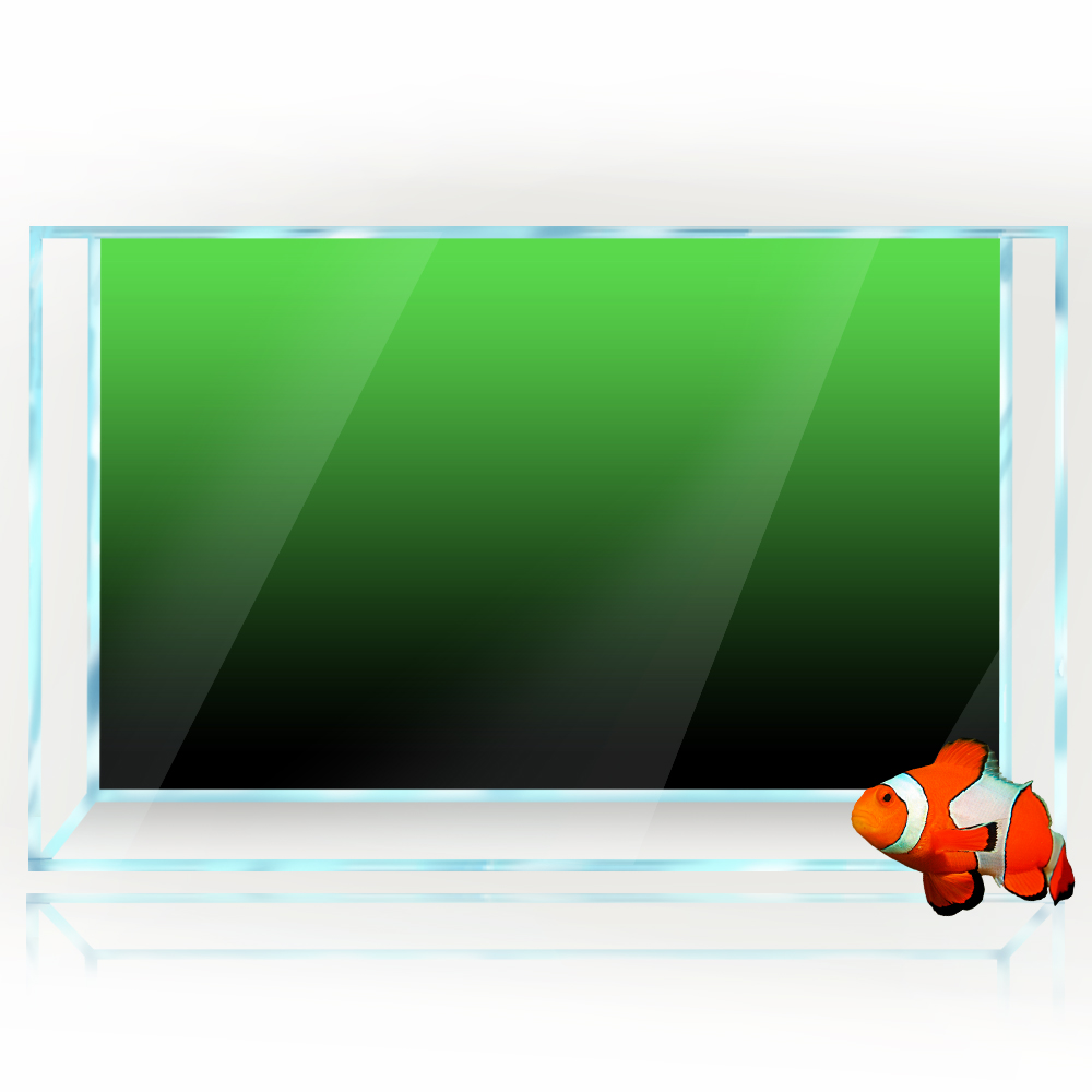 Naklejka w tle akwarium Czarny – Aquarium Fish Green recenzja i cena
