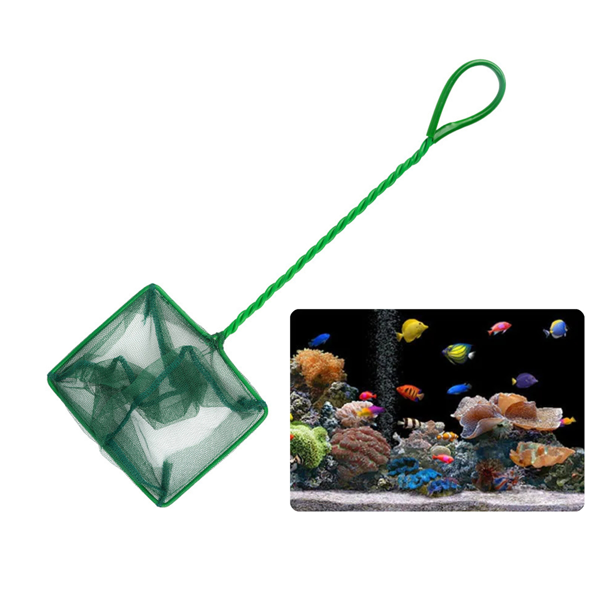 3 ~ 10 cali Przenośna nylonowa – Aquarium Fish Green recenzja i cena
