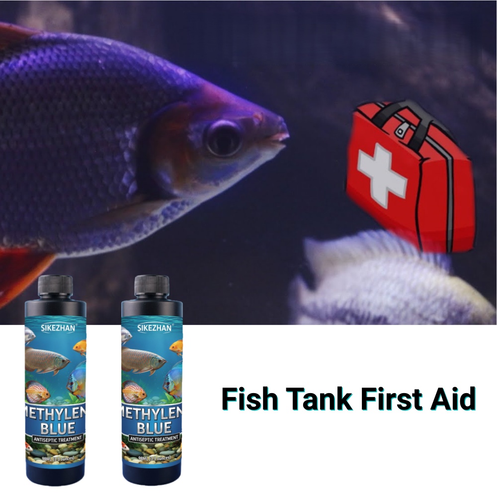 SIKEZHAN Czysty Roztwór Niebie – Aquarium Fish Betta recenzja i cena