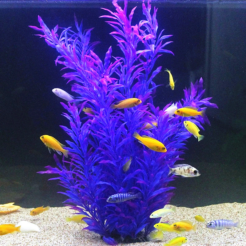 50CM sztuczne akwarium rzadkie – Aquarium Fish To Buy recenzja i cena