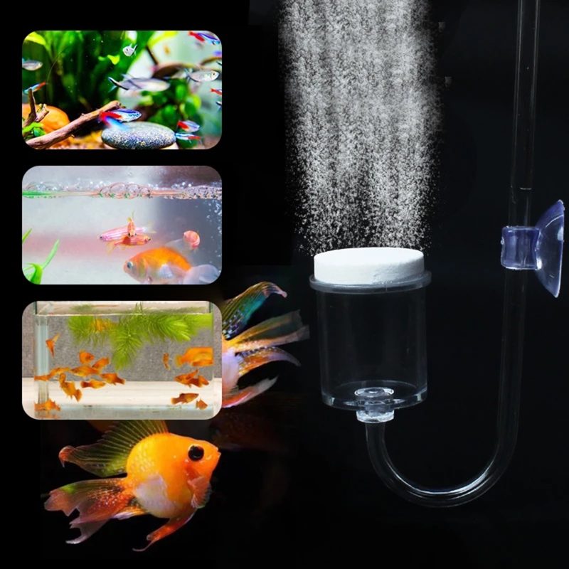 4szt Zestaw DIY Dyfuzor CO2 do – Co2 Diffuser Planted recenzja i cena