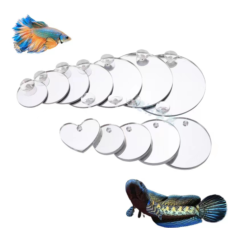 Akwarium Betta Lustrzany Akwar – Aquarium Fish Cichlid recenzja i cena