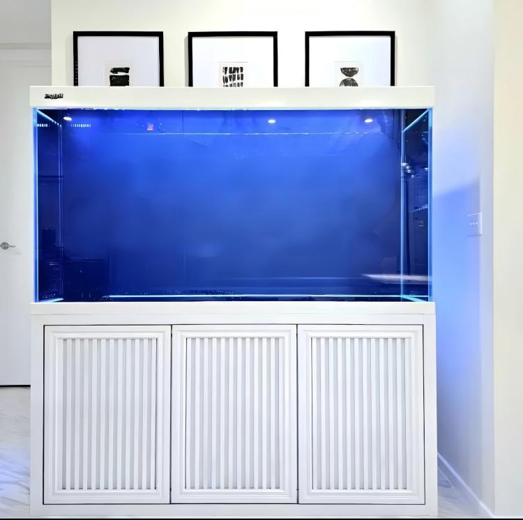 Duży Akwarium z Szkła Ultra Cl – Aquarium Fish Big Size recenzja i cena